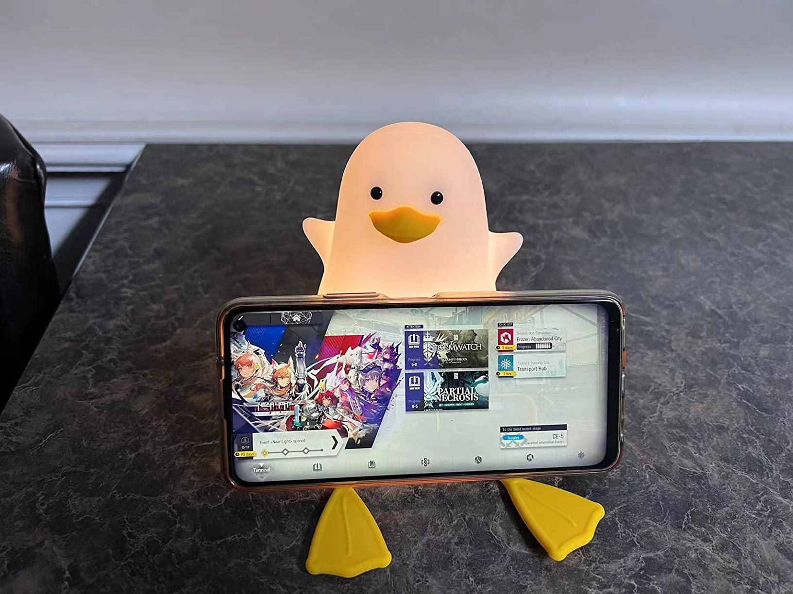 Duck Night  Lamp